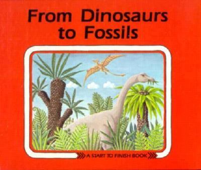 From dinosaurs to fossils