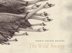 The wild swans