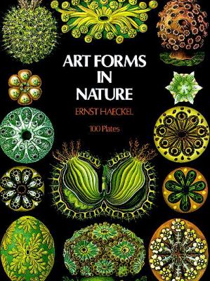 Art forms in nature.