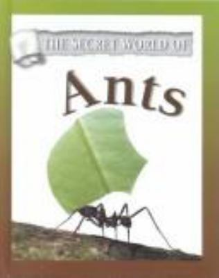 Ants