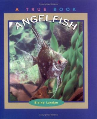 Angelfish