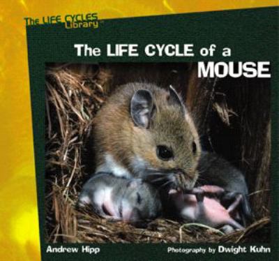 The life cycle of a mouse