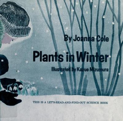 Plants in winter