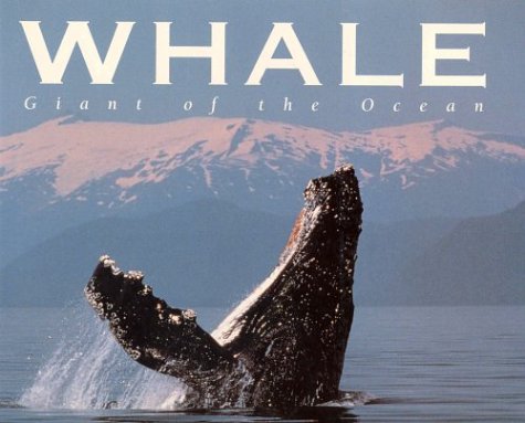 Whale : giant of the ocean
