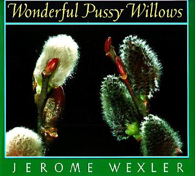 Wonderful pussy willows