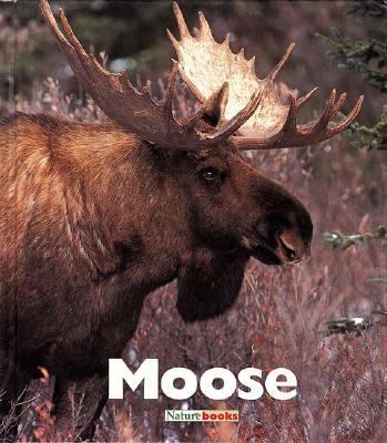 Moose