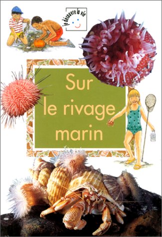 Sur le rivage marin