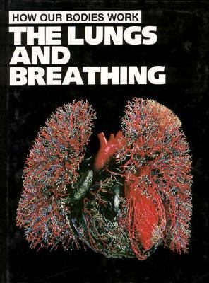 The lungs and breathing
