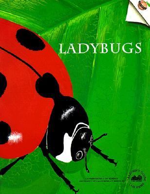 Ladybugs : teacher's guide