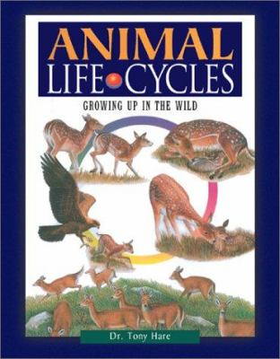 Animal life cycles : growing up in the wild