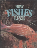 How fishes live