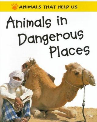 Animals in dangerous places