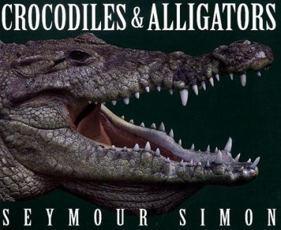 Crocodiles and alligators