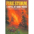 Fire storm : a novel