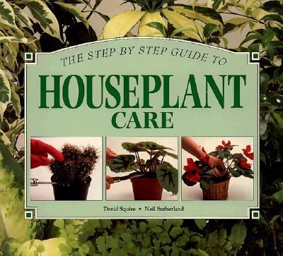 A step-by-step guide to houseplant care