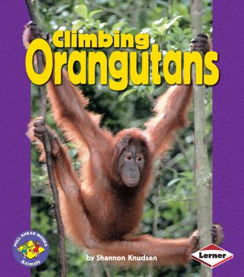 Climbing orangutans
