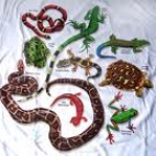 Reptiles