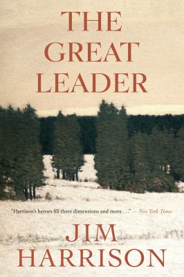 The great leader : a faux mystery