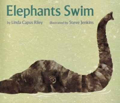 Elephants swim