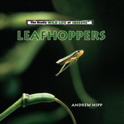 Leafhoppers