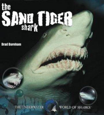 The sand tiger shark