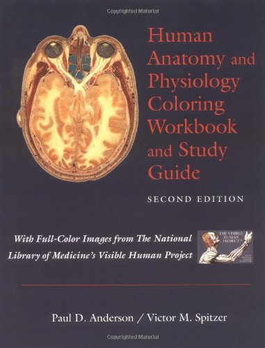 Human anatomy and physiology coloring workbook and study guide with images from the National Library of Medicine's Visible Human Project