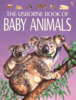 The Usborne book of baby animals