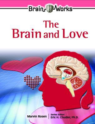 The brain and love