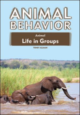 Animal life in groups