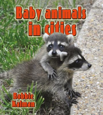 Baby animals in cities