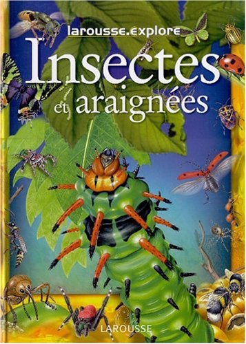 Insectes et araignées