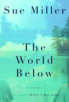 The world below : a novel