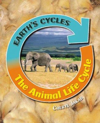 The animal life cycle