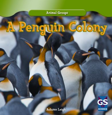 A penguin colony