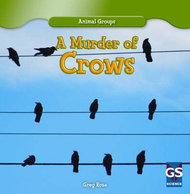 A murder of crows