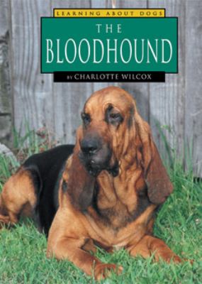 The Bloodhound