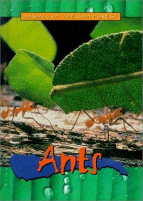 Ants