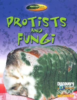 Protists and fungi.