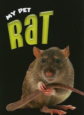 Rat