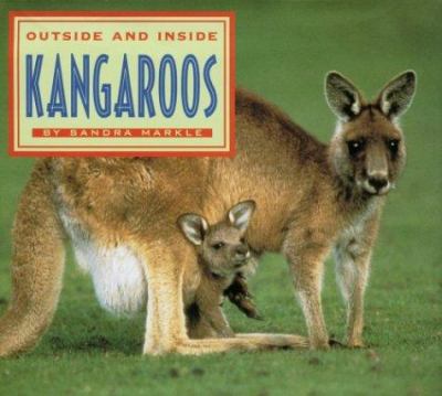 Outside and inside kangaroos