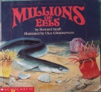 Millions of eels