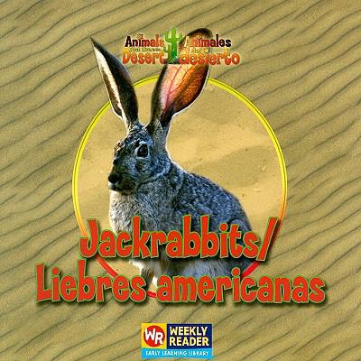 Jackrabbits = Liebres americanas