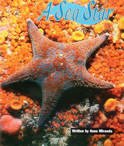 A sea star