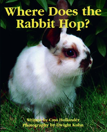 Where does the rabbit hop?