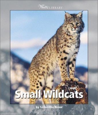 Small wildcats