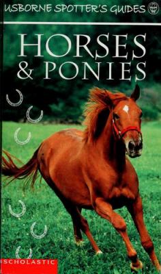 Horses & ponies