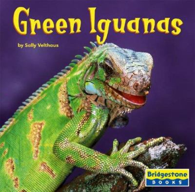 Green iguanas