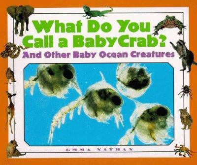 What do you call a baby crab? : and other baby fish and ocean creatures