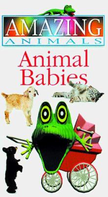 Amazing animals. Animal babies /