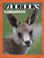 Kangaroos